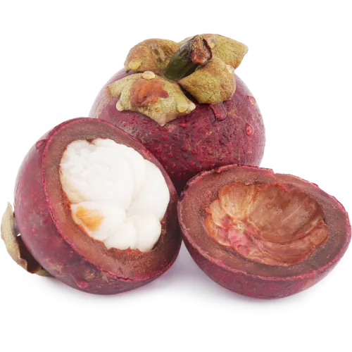 Мангостин шт