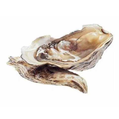 Устрица Розовая Джоли 1 шт Море рыбы