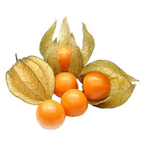 Физалис 125гр*шт.