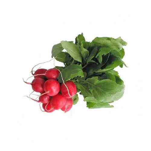Редис 1 пуч шт Теплица