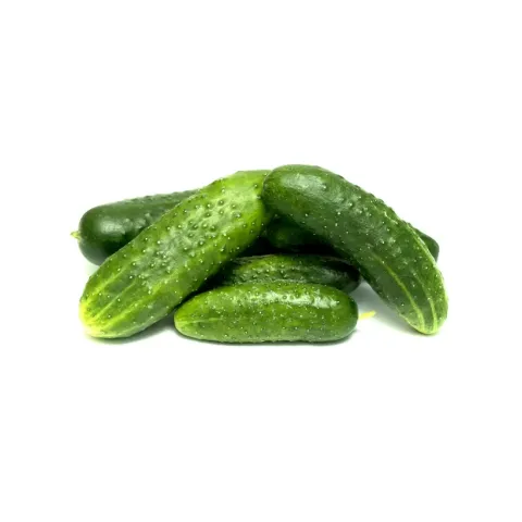 Огурец колючий тепличный вес