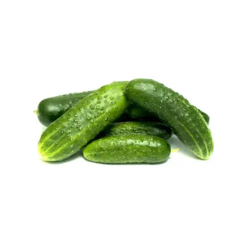 Огурец колючий тепличный вес