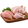 Птица