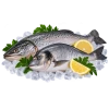 Свежая рыба