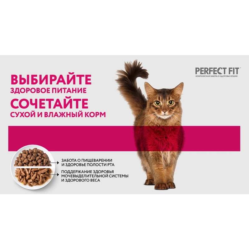 Корм д/кошек Перфект Фит д/котят Курица 75г