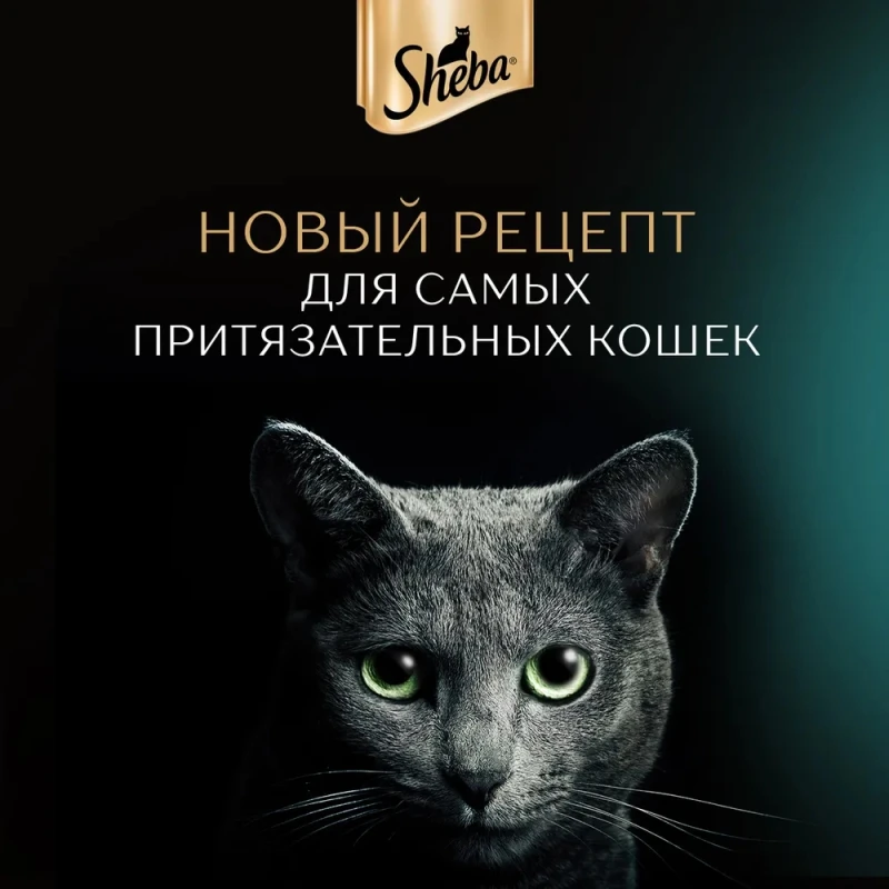 Корм для кошек Шеба Нежный паштет с курицей 75г