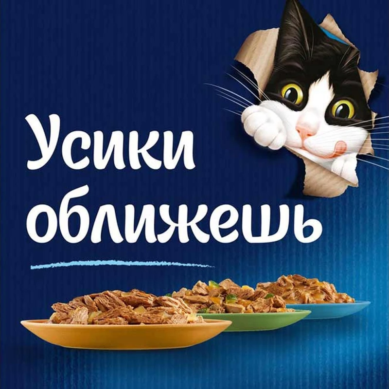 Корм для кошек Felix Мясные ломтики с уткой 75 г