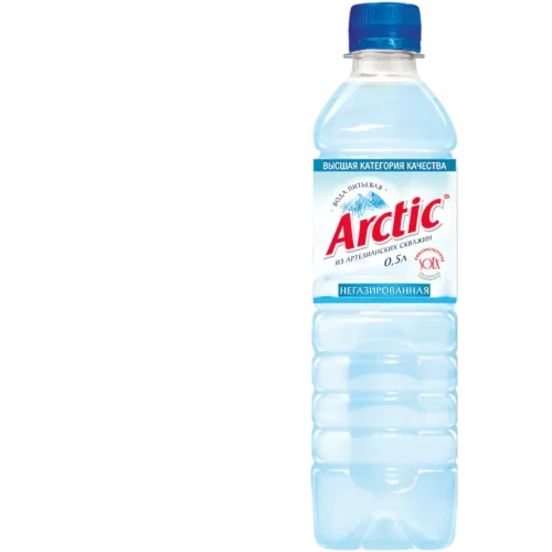 Вода Arctic 0.5 литра, без газа, пэт, 12 шт. в уп.