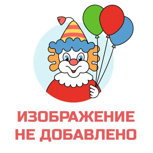 Сумка подар 0595.800