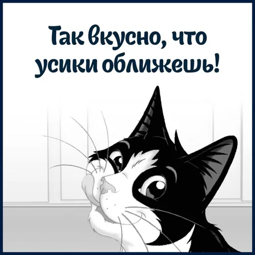 Корм Felix Sensations 75г пауч в желе лосось треска ООО Нестле Россия Россия Purina