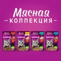 Мясная коллекция 75г пауч с говядиной Марс Россия WHISKAS уменьш.