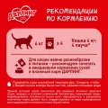 Консерва для кошек 75г утка в подливе ООО Нестле Россия Россия Darling уменьш.