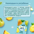 Нектар ФрутоНяня из яблок и ананасов 209г АО Прогресс Россия уменьш.
