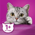 Рагу 75г пауч с говядиной и ягненком Марс Россия WHISKAS уменьш.