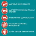Корм 75г для стерил. с говядиной и морковью ООО Нестле Россия Россия Purina ONE уменьш.