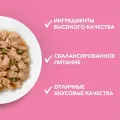 Корм ONE PURINA 75г пауч д/котят, курица ООО Нестле Россия Россия Purina уменьш.