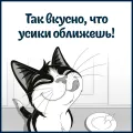 Суп Felix 50г с треской ООО Нестле Россия Россия уменьш.