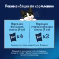 Суп Felix 50г с треской ООО Нестле Россия Россия уменьш.