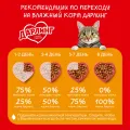 Консерва для кошек 75г утка в подливе ООО Нестле Россия Россия Darling уменьш.