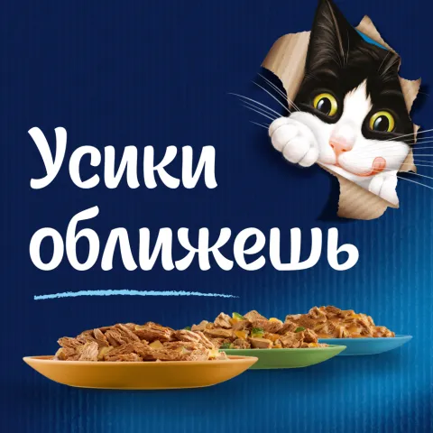 Корм д/кошек Пурина Феликс мясные ломтики с уткой 75г