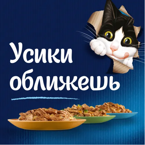 Корм для кошек Felix Мясные ломтики с уткой 75г